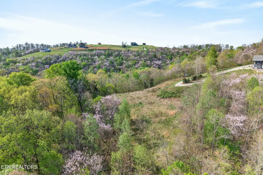 Lot 58A1 Goose Rd, Hilham, TN 38568 - #3