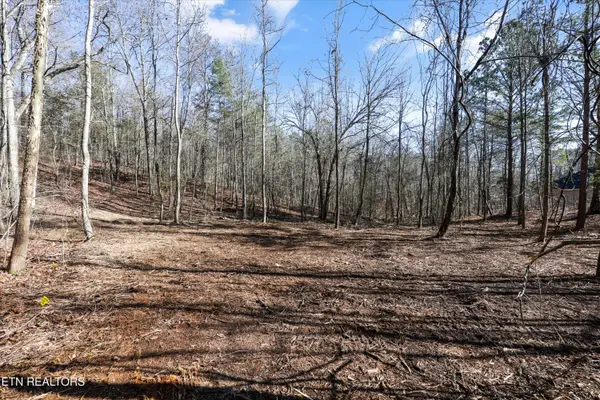 Sunrise Lane, Decatur, TN 37322