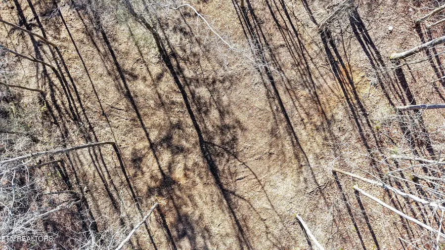 Sunrise Lane, Decatur, TN 37322 - #3