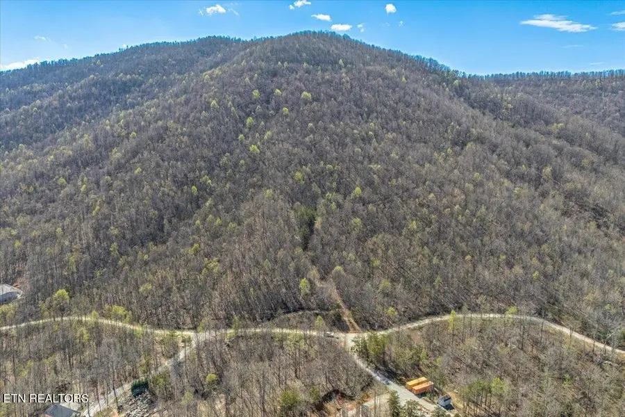 422 Crooked Branch Rd, Huntsville, TN 37756 - #2