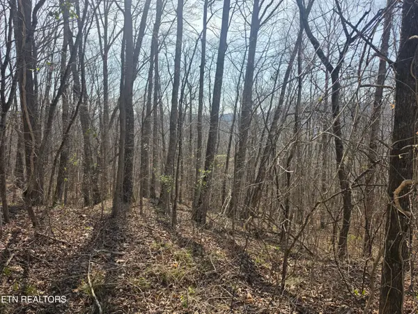 Glenoby Rd, Jamestown, TN 38556