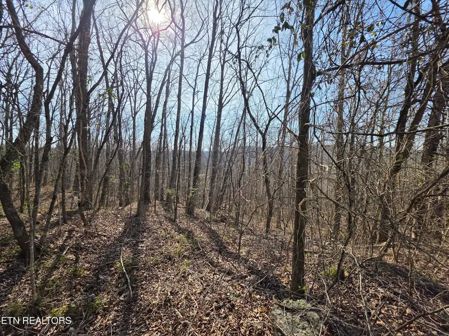 Glenoby Rd, Jamestown, TN 38556 - #2