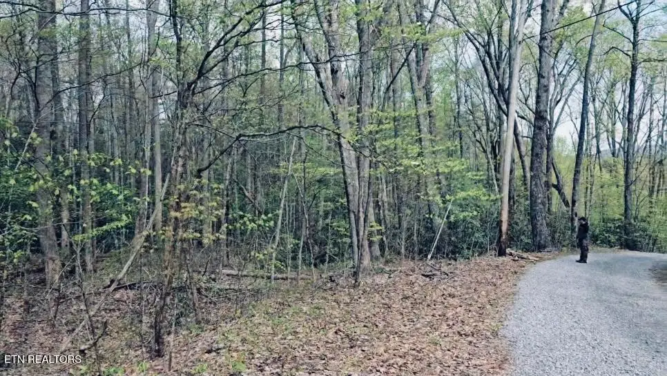 4046 Forest Trail Drive, Sevierville, TN 37876 - #1