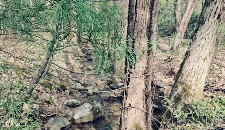 4046 Forest Trail Drive, Sevierville, TN 37876 - #3