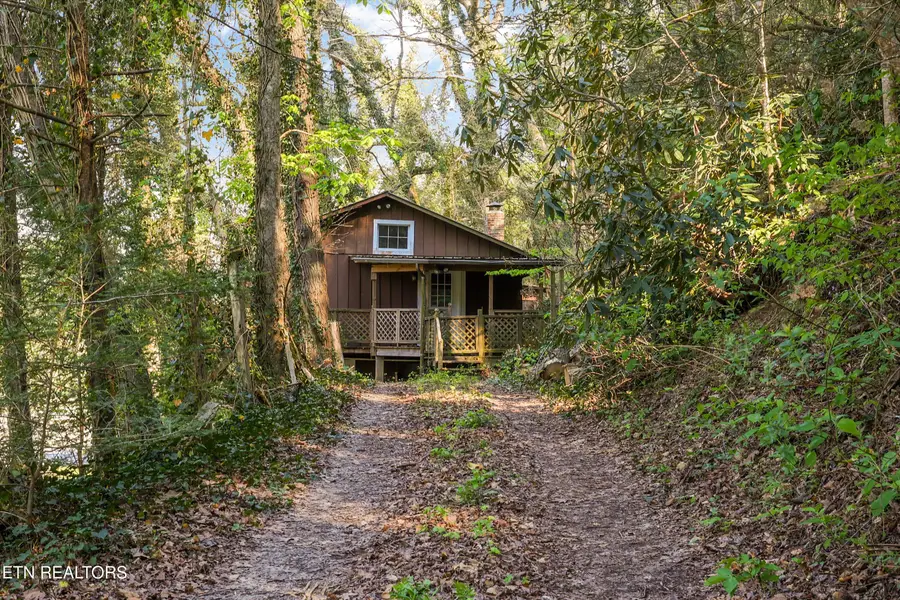 107 Mount Luke Rd, Townsend, TN 37882 - #2