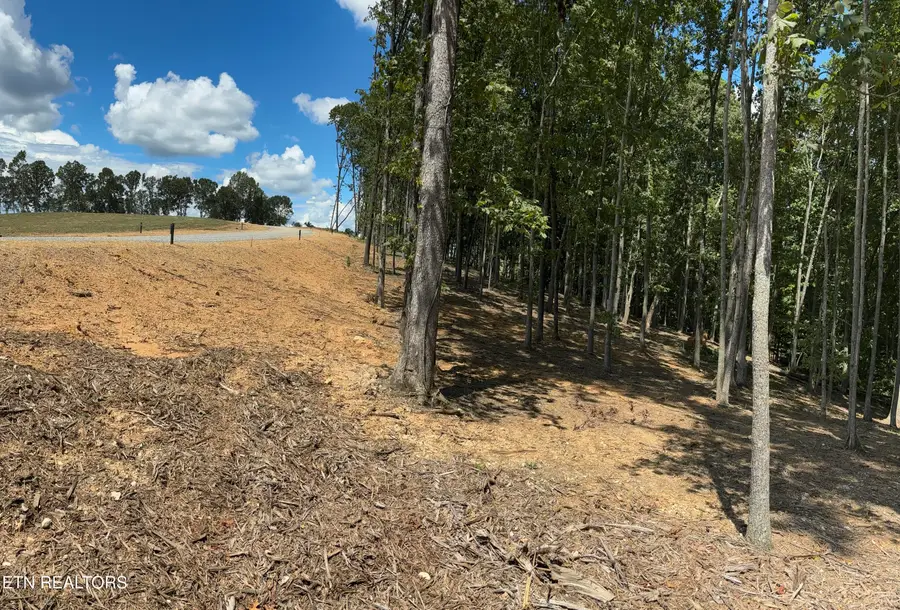 121 Cherry Tree Lane, Loudon, TN 37774 - #2