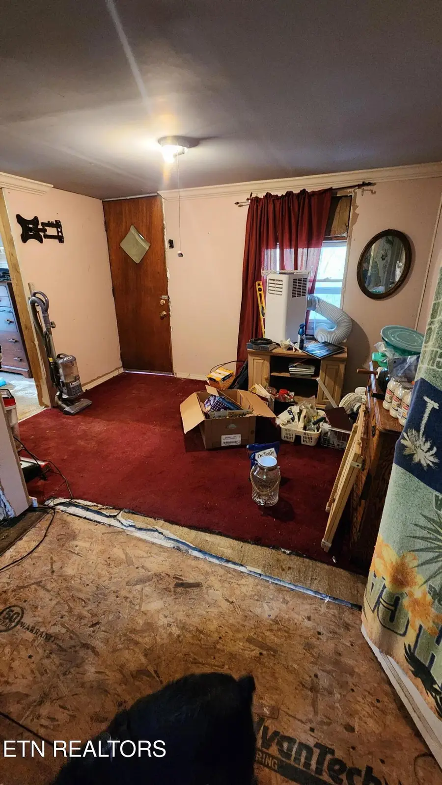 138 Bennett Lane, Powell, TN 37849 - #2