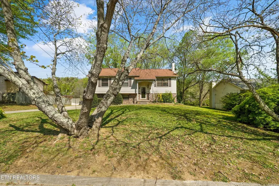 4803 Chase Hill Drive, Knoxville, TN 37918 - #3