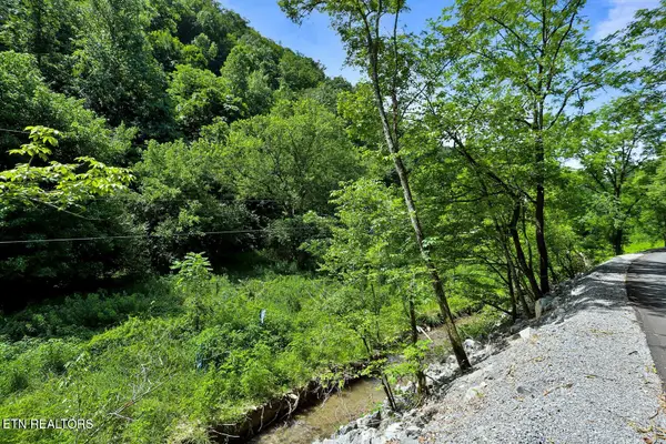 00 Caney Creek Rd, Pigeon Forge, TN 37863