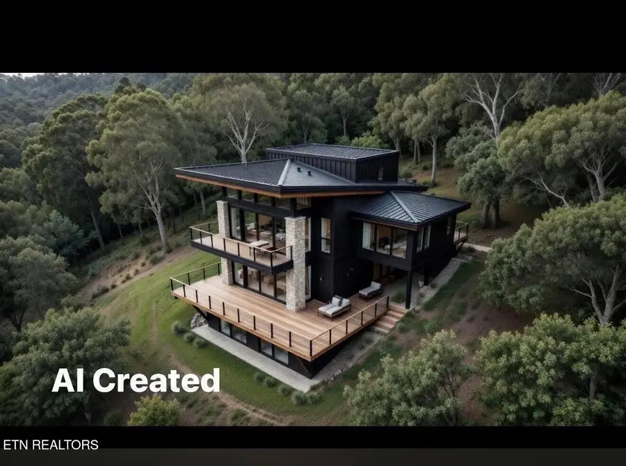 00 Caney Creek Rd, Pigeon Forge, TN 37863 - #2