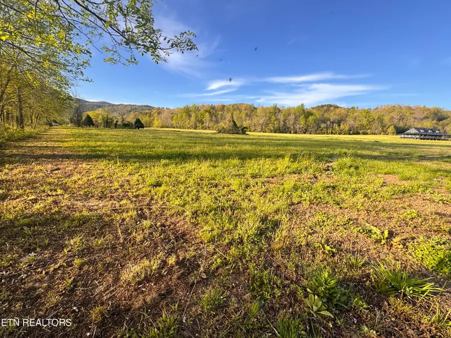 River Rapids Way, Del Rio, TN 37727 - #2