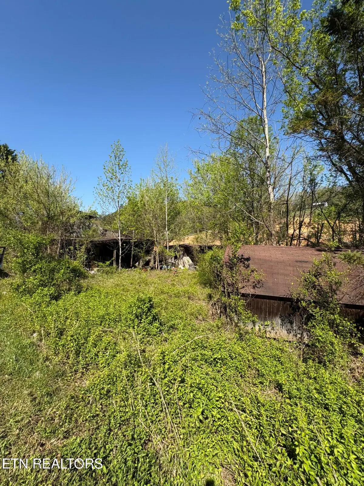 3755 Richardson Cove Rd, Sevierville, TN 37876 - #1