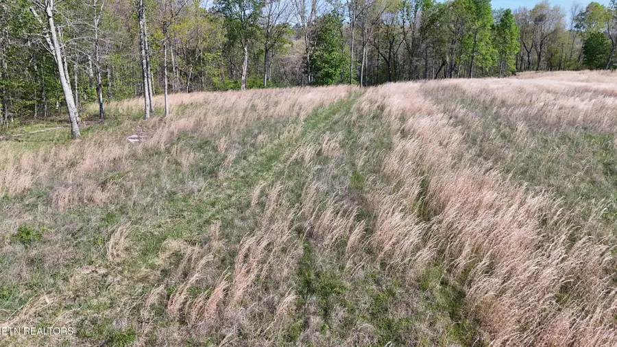 7.08ac Hollow Creek Lane, Clarkrange, TN 38553 - #2