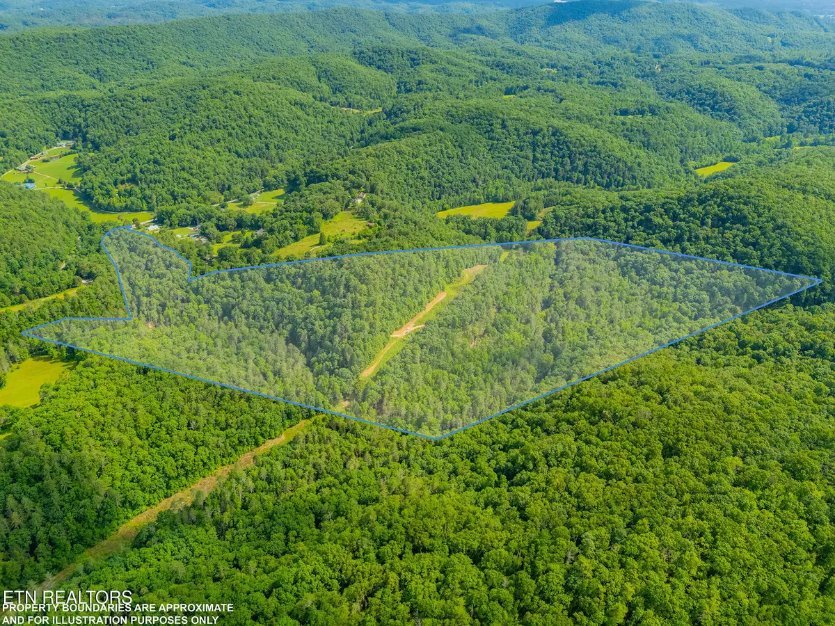118 Authorn Sheldon Rd, Harriman, TN 37748 - #1