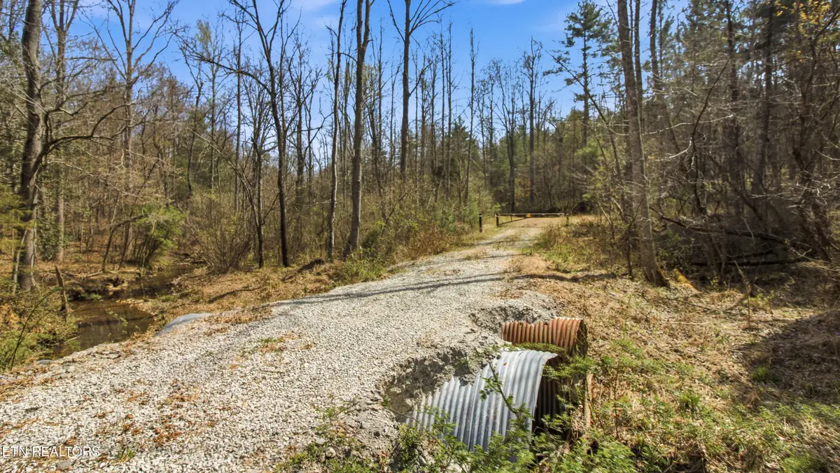 Young Rd, Robbins, TN 37852 - #1