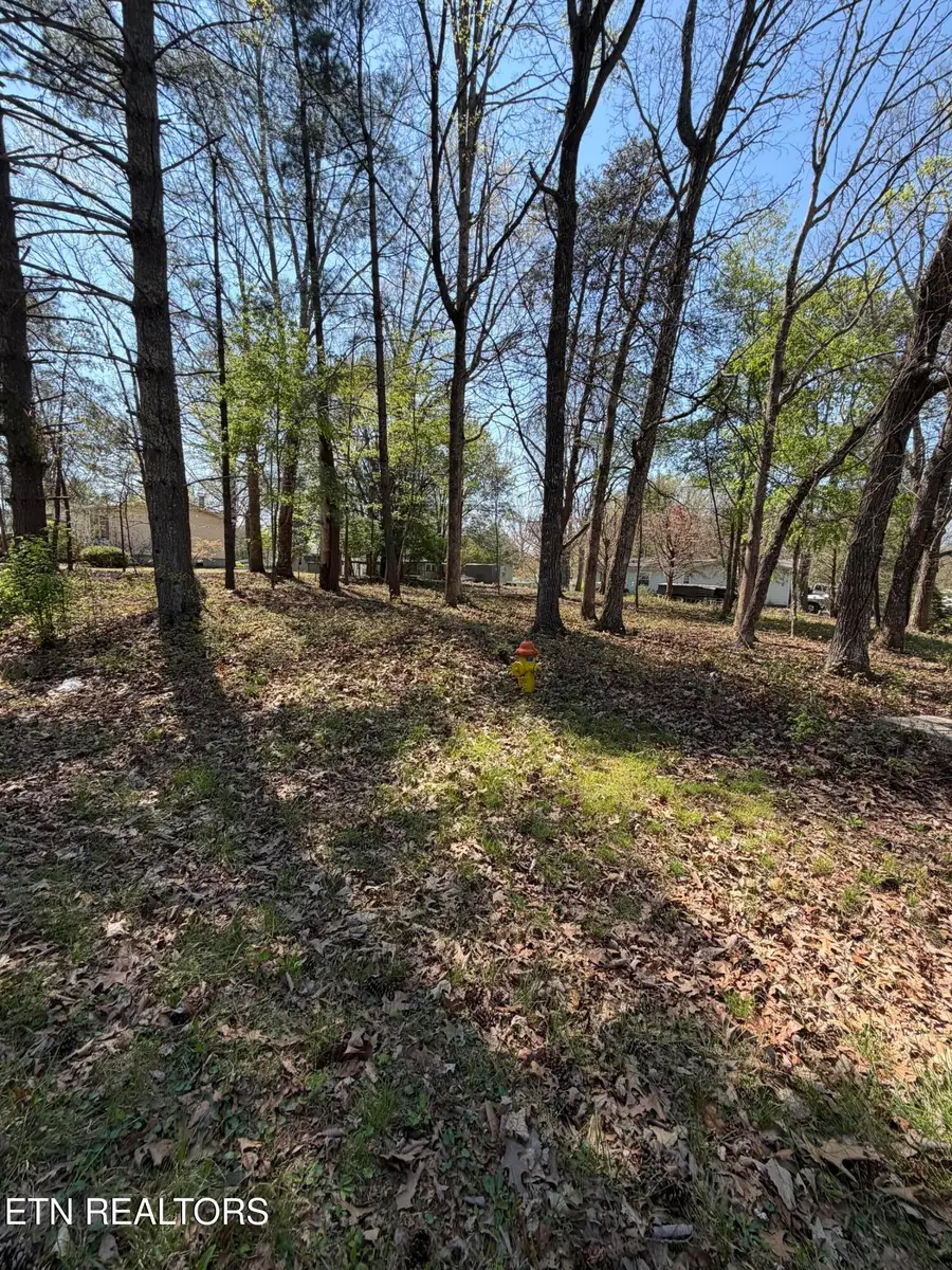 319 Dartmoor Drive, Crossville, TN 38558 - #2