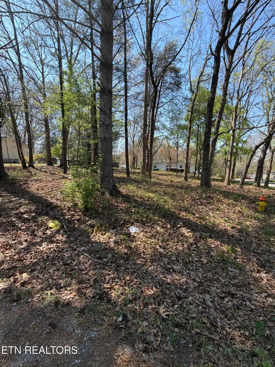 319 Dartmoor Drive, Crossville, TN 38558 - #3