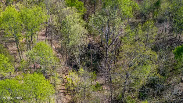 00 Dodson Branch Hwy, Cookeville, TN 38501