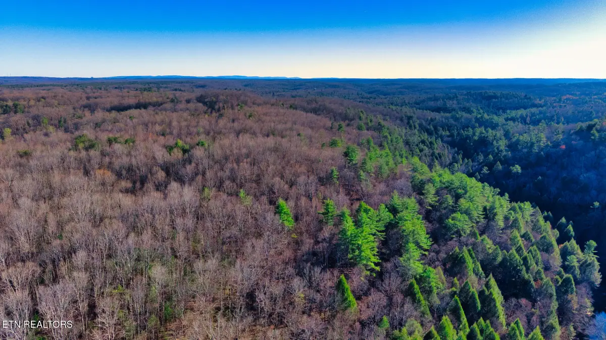 Tract 7 Ervin Brown Rd #Tract 7, Sunbright, TN 37872 - #1