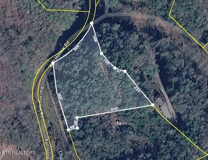 4354 Ball Hollow Rd, Cosby, TN 37722 - #1