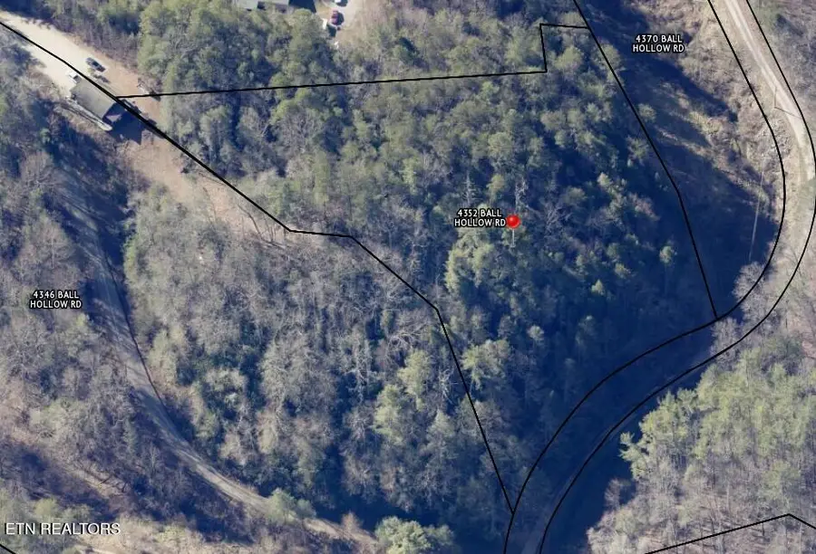 4354 Ball Hollow Rd, Cosby, TN 37722 - #2