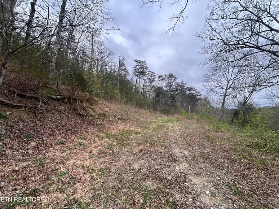 10 Acres Possum Valley Rd, Maynardville, TN 37807 - #2