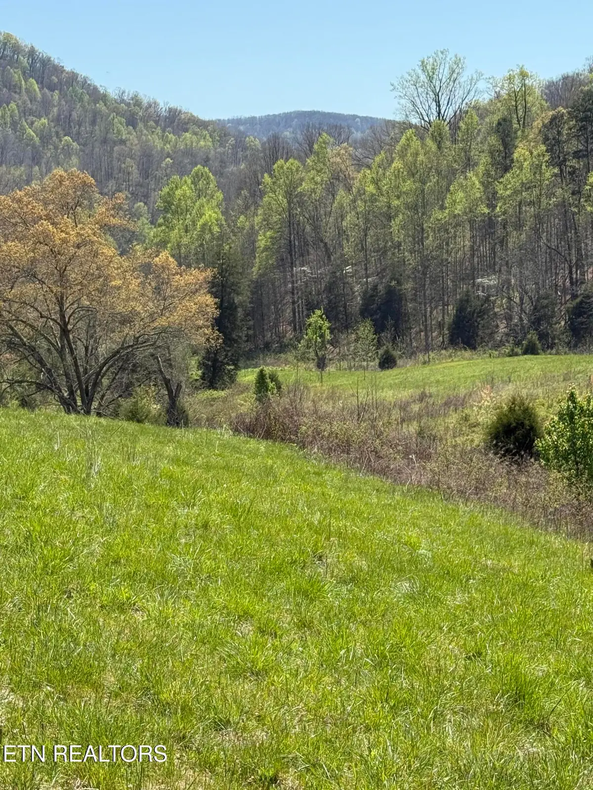 0000 Goshen Valley (65 Acres) Rd, Church Hill, TN 37642 - #1