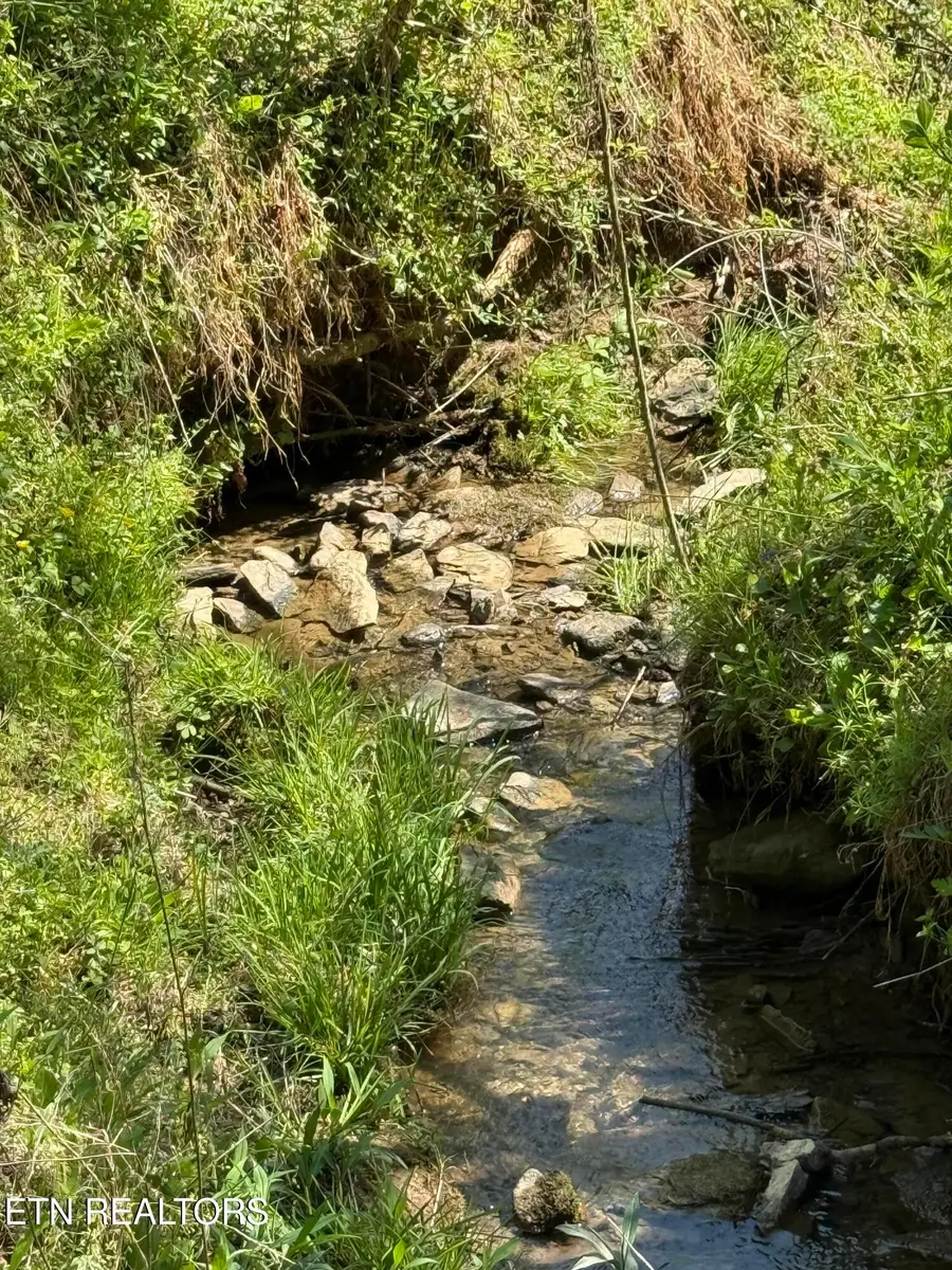 0000 Goshen Valley (65 Acres) Rd, Church Hill, TN 37642 - #2