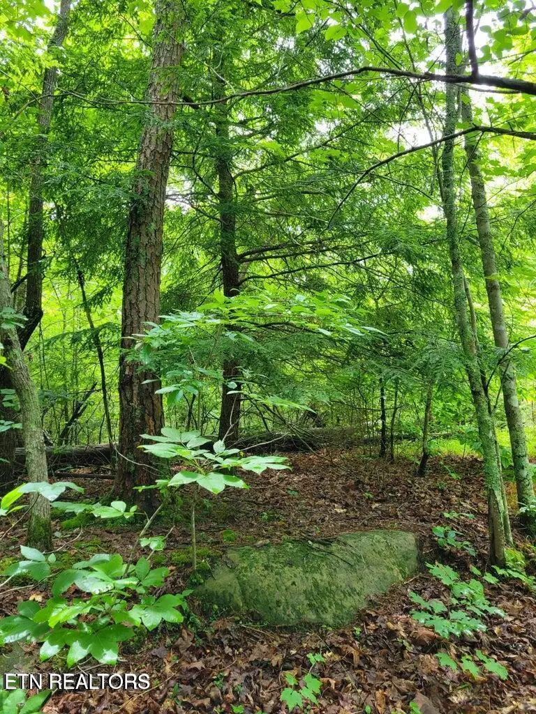 Blk 203 L5 Cumberland Lakes Drive, Monterey, TN 38574 - #1