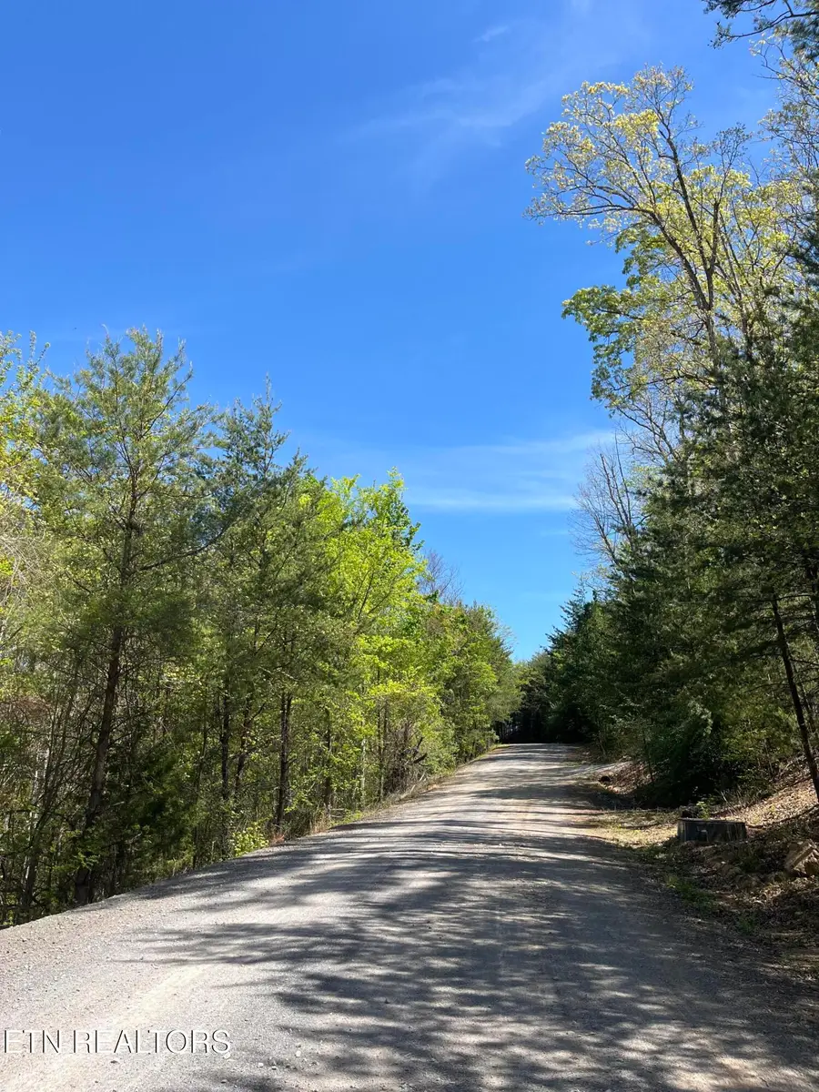 124 Indian Ridge, Tellico Plains, TN 37385 - #3