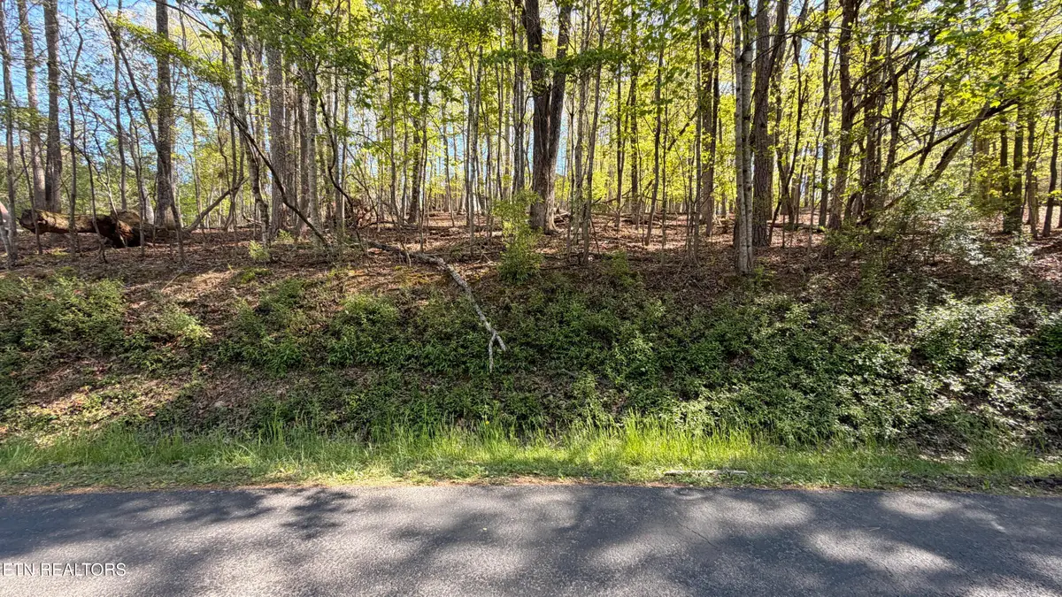 280 Ootsima Way, Loudon, TN 37774 - #1