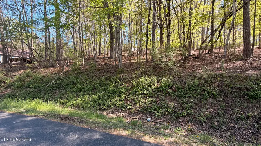 280 Ootsima Way, Loudon, TN 37774 - #2