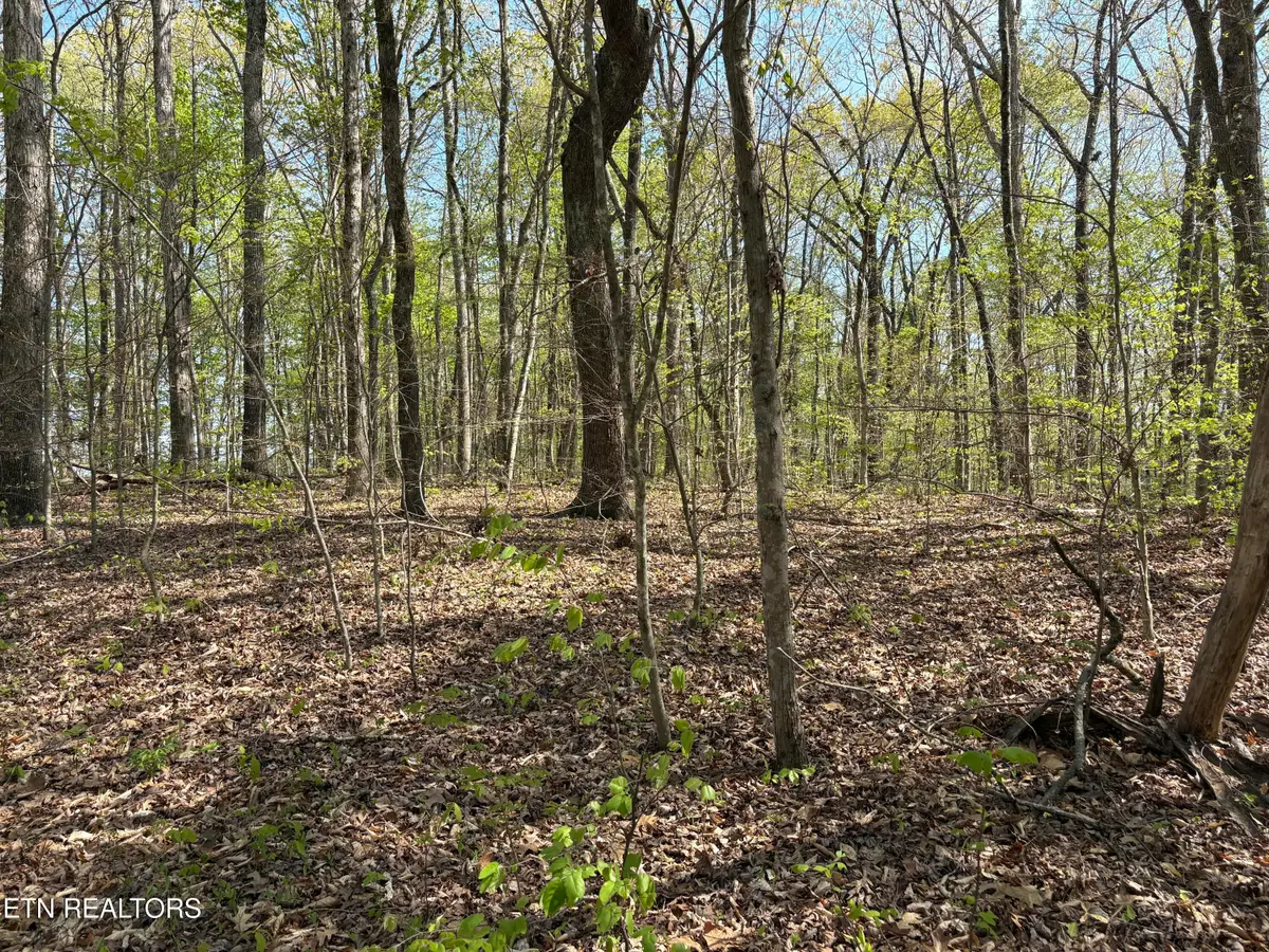 Grainger Landing #Lot 59, Rutledge, TN 37861 - #1