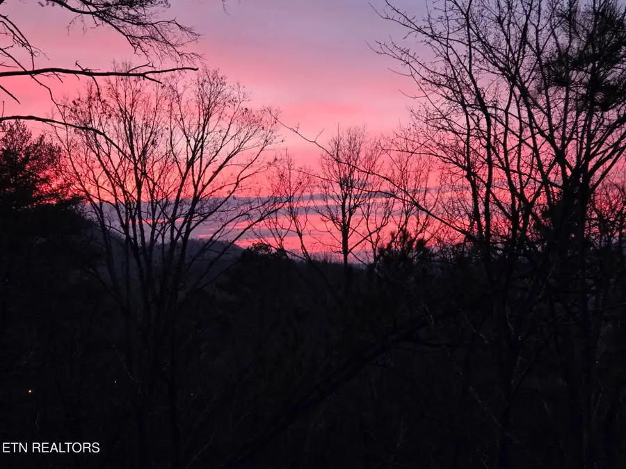 472 Highway 107, Del Rio, TN 37727 - #2