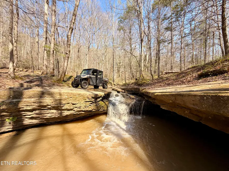 5640 Brimstone Rd, Robbins, TN 37852 - #3