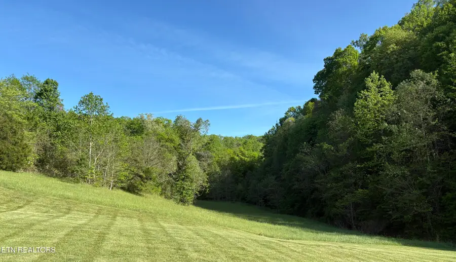 lot 485 Russell Brothers Rd, Sharps Chapel, TN 37866 - #3