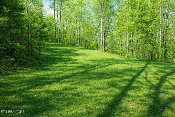 Lot 41 Black Maple Way, Del Rio, TN 37727