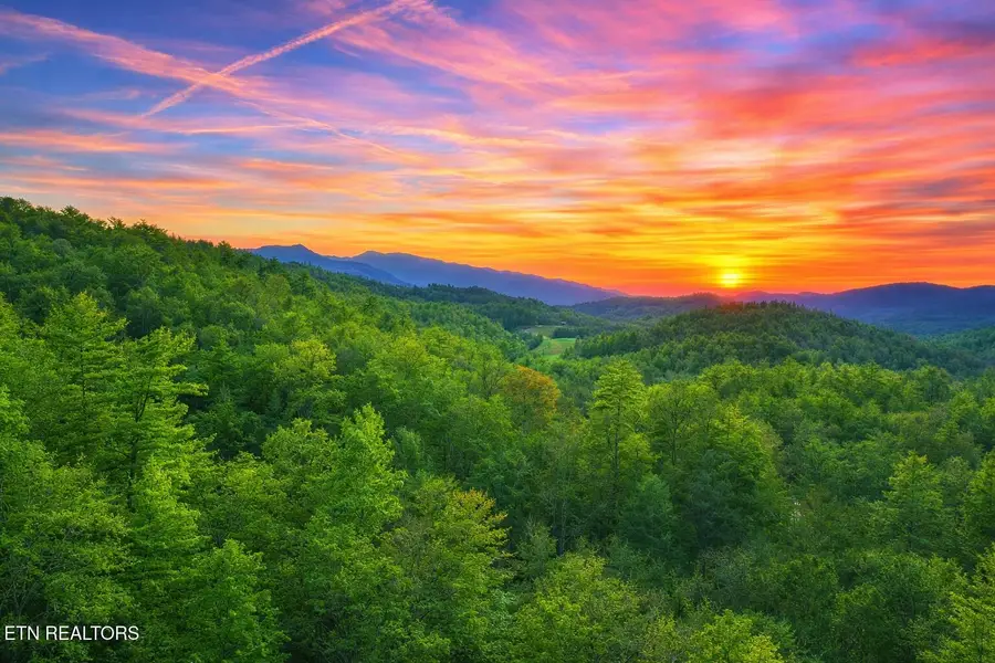 Lot 41 Black Maple Way, Del Rio, TN 37727 - #2