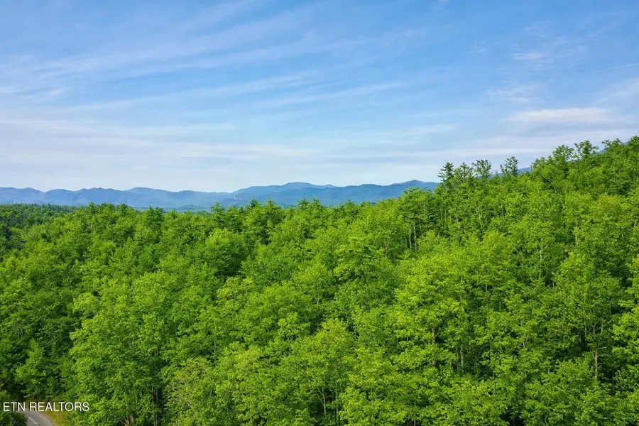 Lot 41 Black Maple Way, Del Rio, TN 37727 - #3