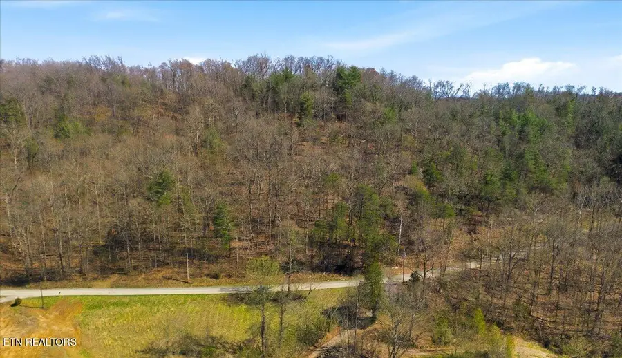 282 Blackburn Lane, Lenoir City, TN 37771 - #3