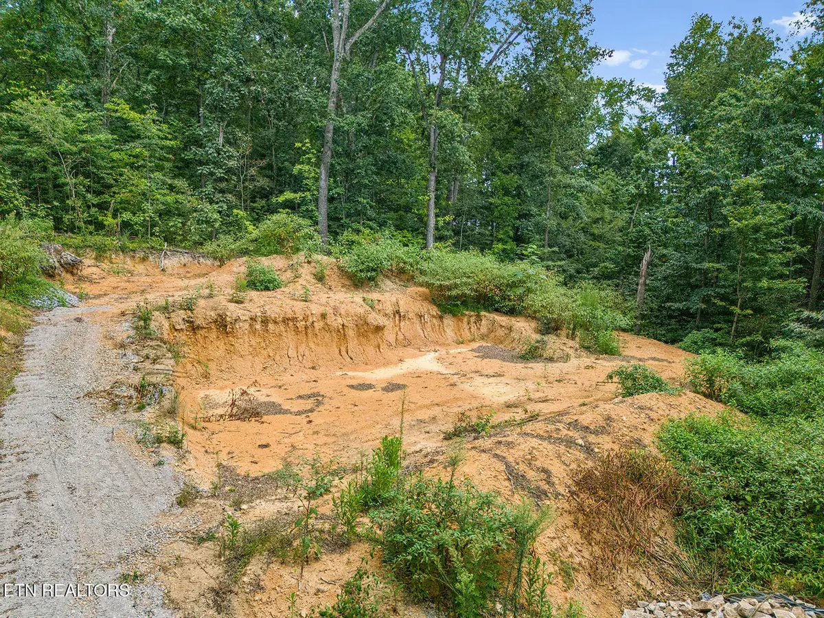 6310 Highway 11 E, Lenoir City, TN 37772 - #1