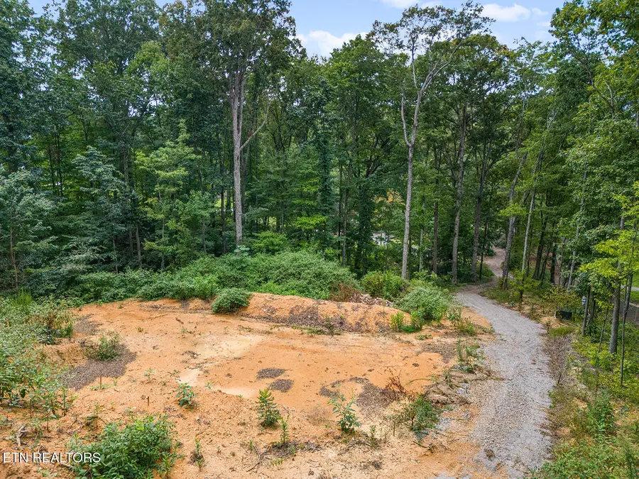 6310 Highway 11 E, Lenoir City, TN 37772 - #2