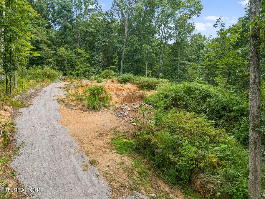 6310 Highway 11 E, Lenoir City, TN 37772 - #3