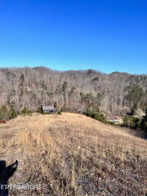 1581 Lower Caney Valley Rd, Tazewell, TN 37879