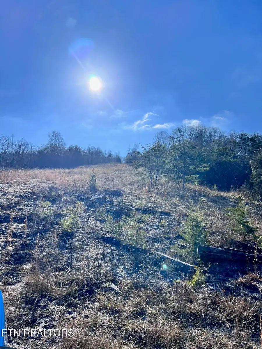 1581 Lower Caney Valley Rd, Tazewell, TN 37879 - #2