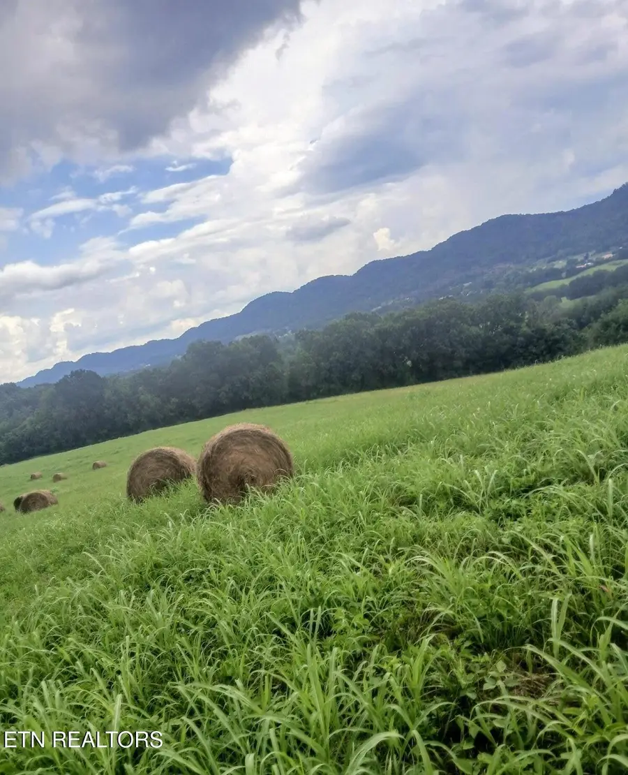 305 Race Track Rd, Rogersville, TN 37857 - #3