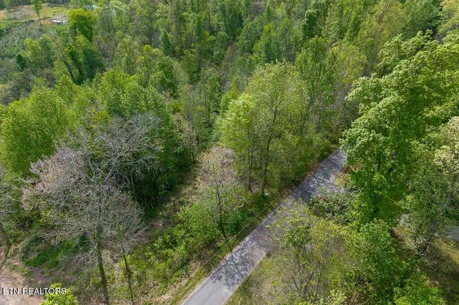 75 Backbone Rd, Sparta, TN 38583 - #3