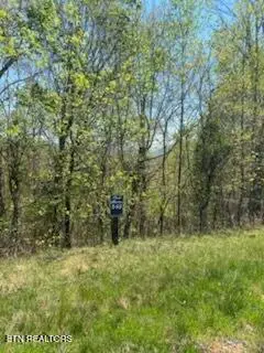 Lot 548 Marble Point Way, New Tazewell, TN 37825 - #1