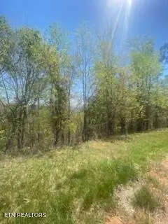 Lot 548 Marble Point Way, New Tazewell, TN 37825 - #2