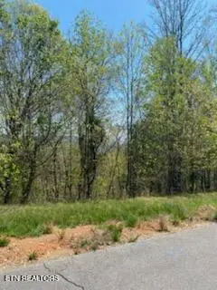 Lot 548 Marble Point Way, New Tazewell, TN 37825 - #3
